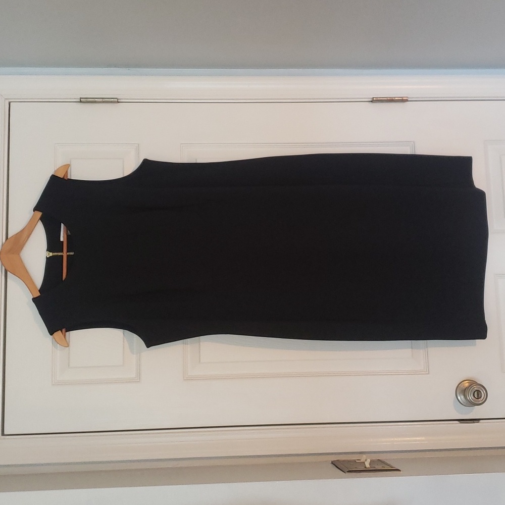 Calvin Klein Sleeveless Sheath Dress